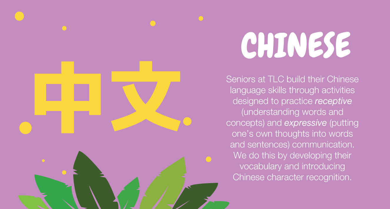 the learning connection preschool chinese